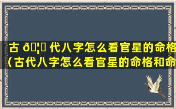 古 🦈 代八字怎么看官星的命格（古代八字怎么看官星的命格和命格）